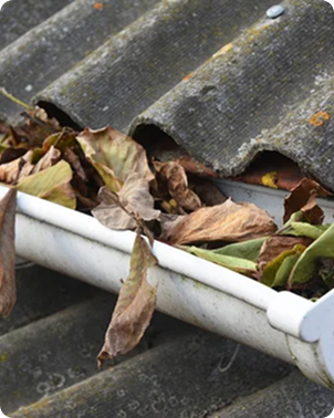 Gutter Cleaning