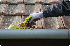 Gutter Cleaning