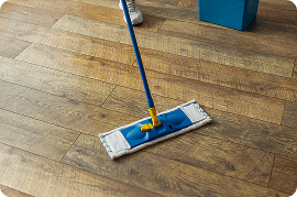 Serivces Mopping